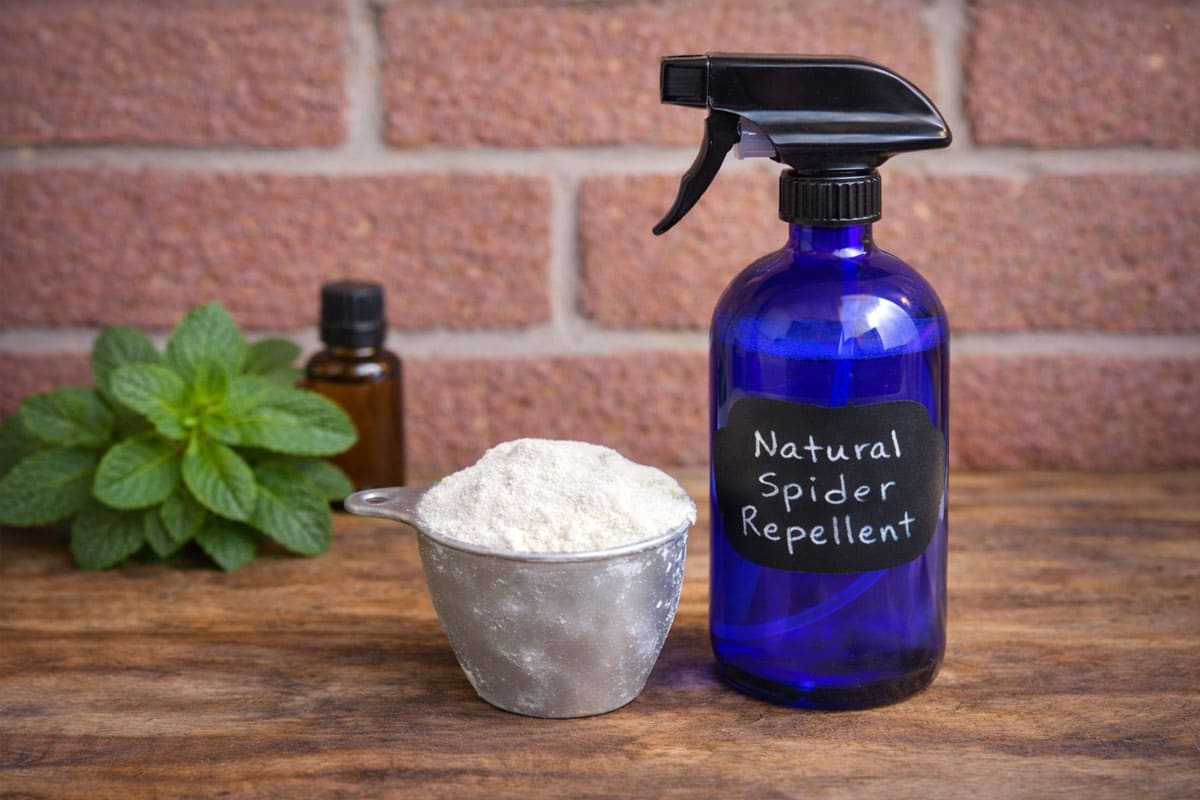 natural spider repellent spray and DE