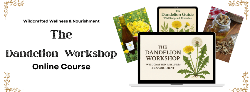 The Dandelion Workshop