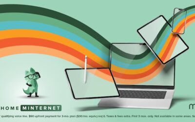 Fast Internet Without the Cable Company Drama: Meet MINTernet