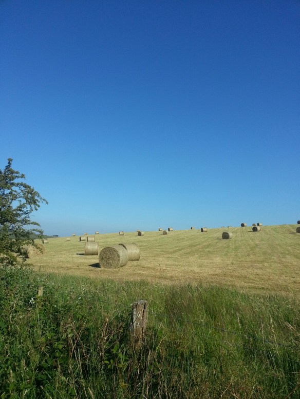 20140725_084844.jpg image