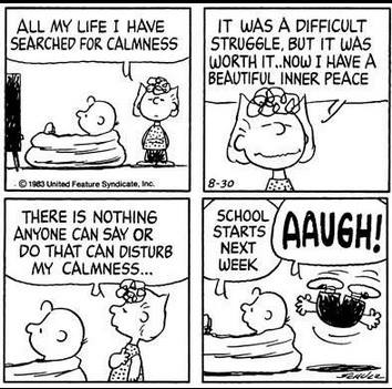 1546023_748392145199283_6939993121832697981_n