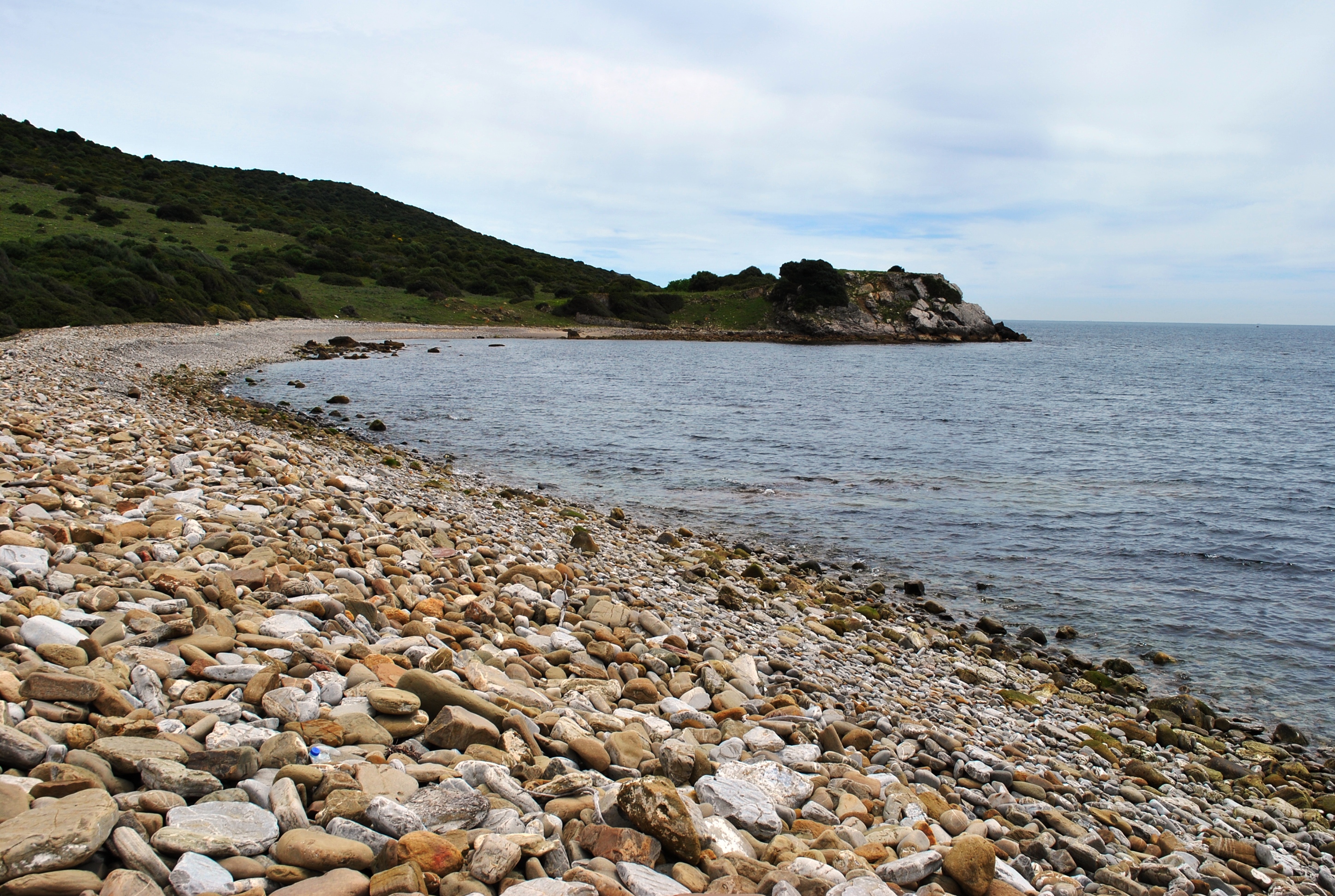 1.Ensenada del Tolmo
