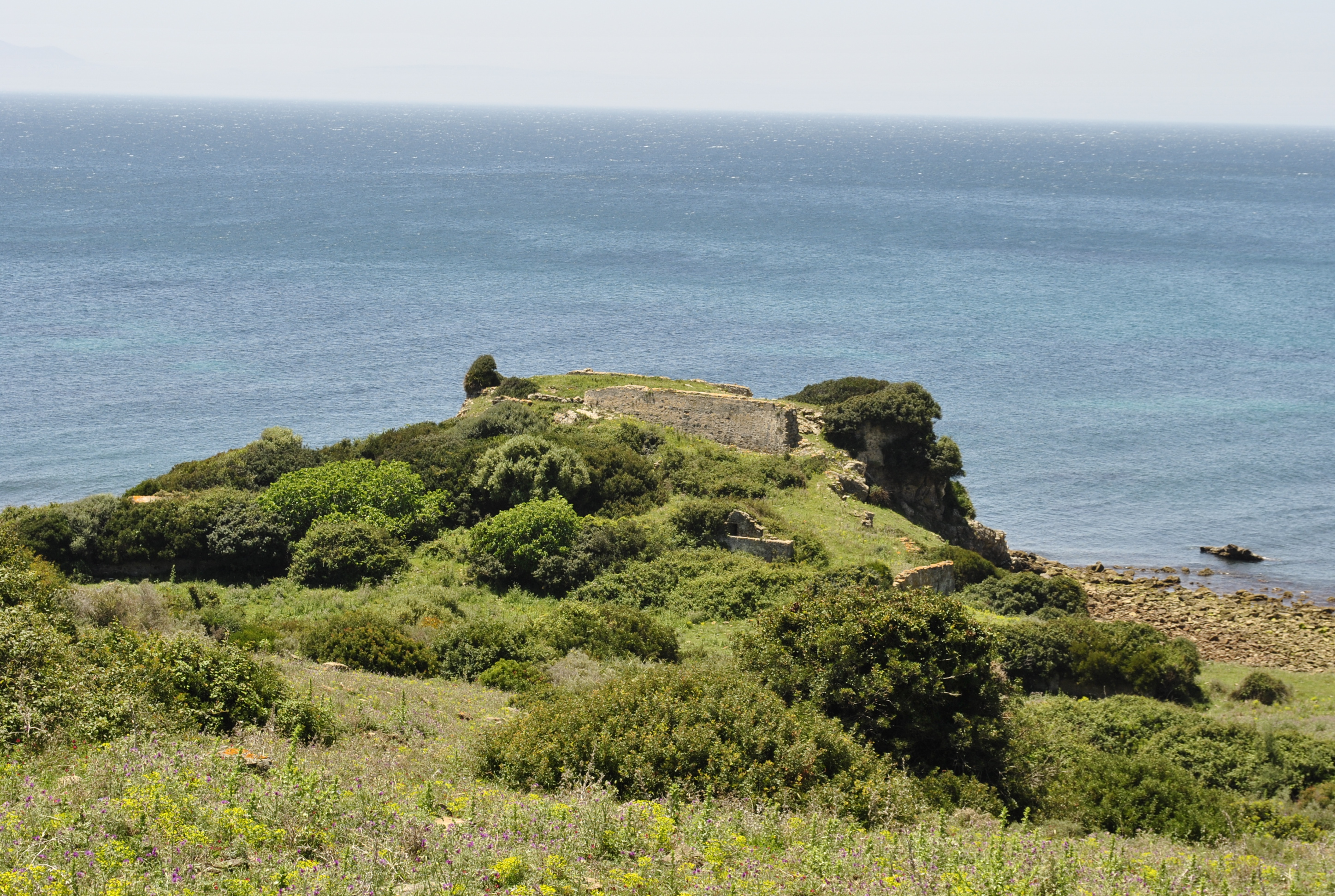 25. Fuerte desde arriba