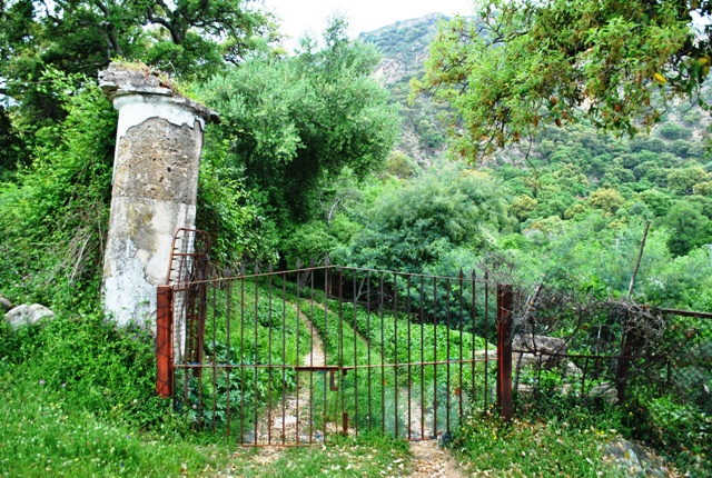 Entrada a la parcela