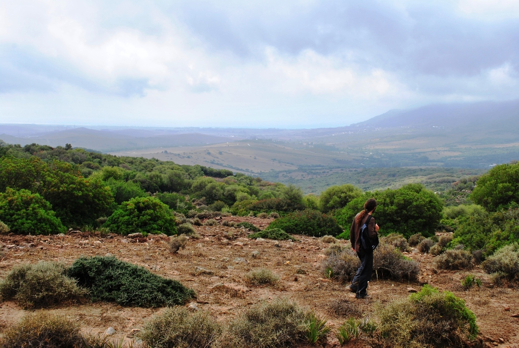 3.Hacia los Pocillos