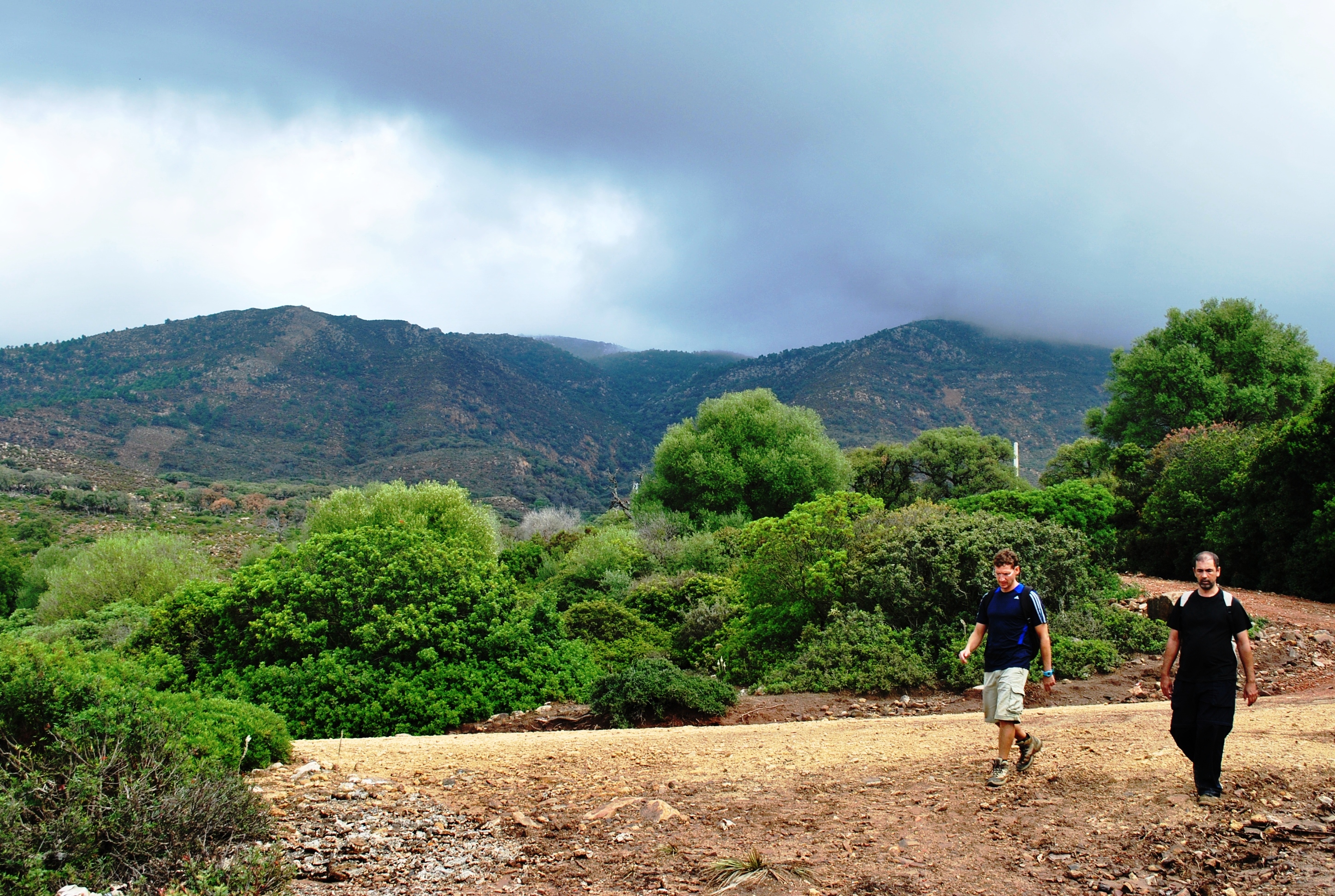 4. Hacia los Pocillos