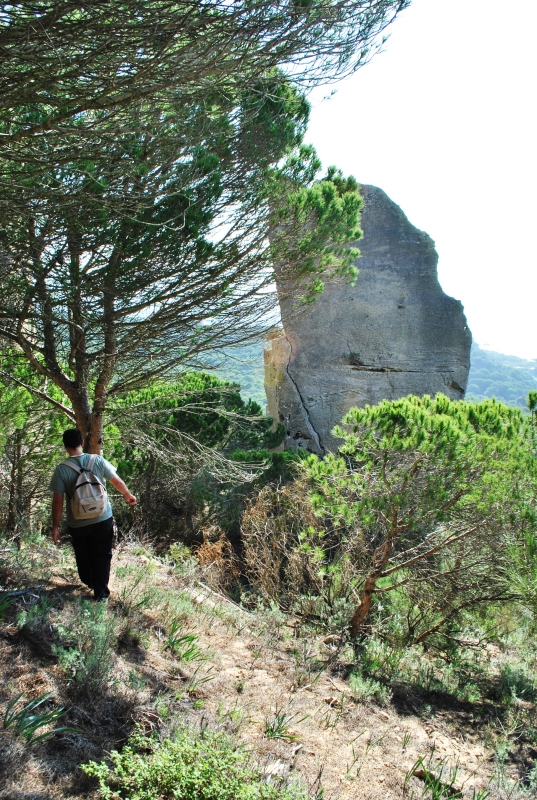 19. Hacia las canteras