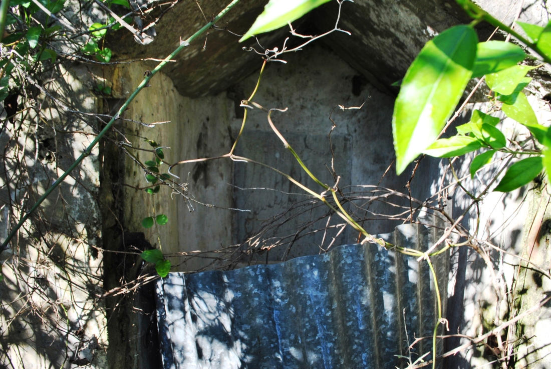 10. La placa se deja ver