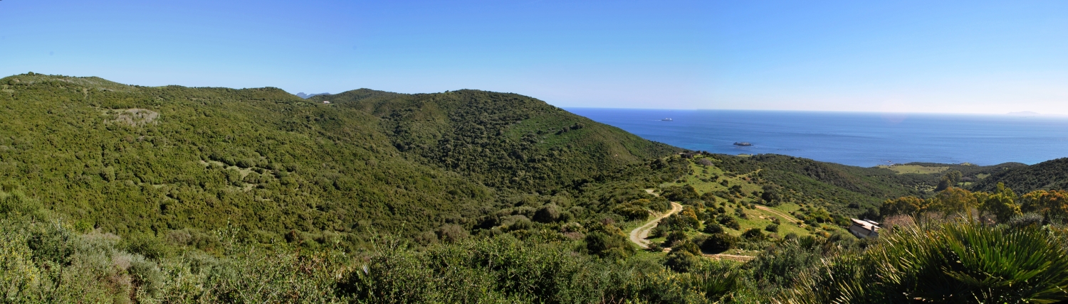 22.Panorama Alcarracilla