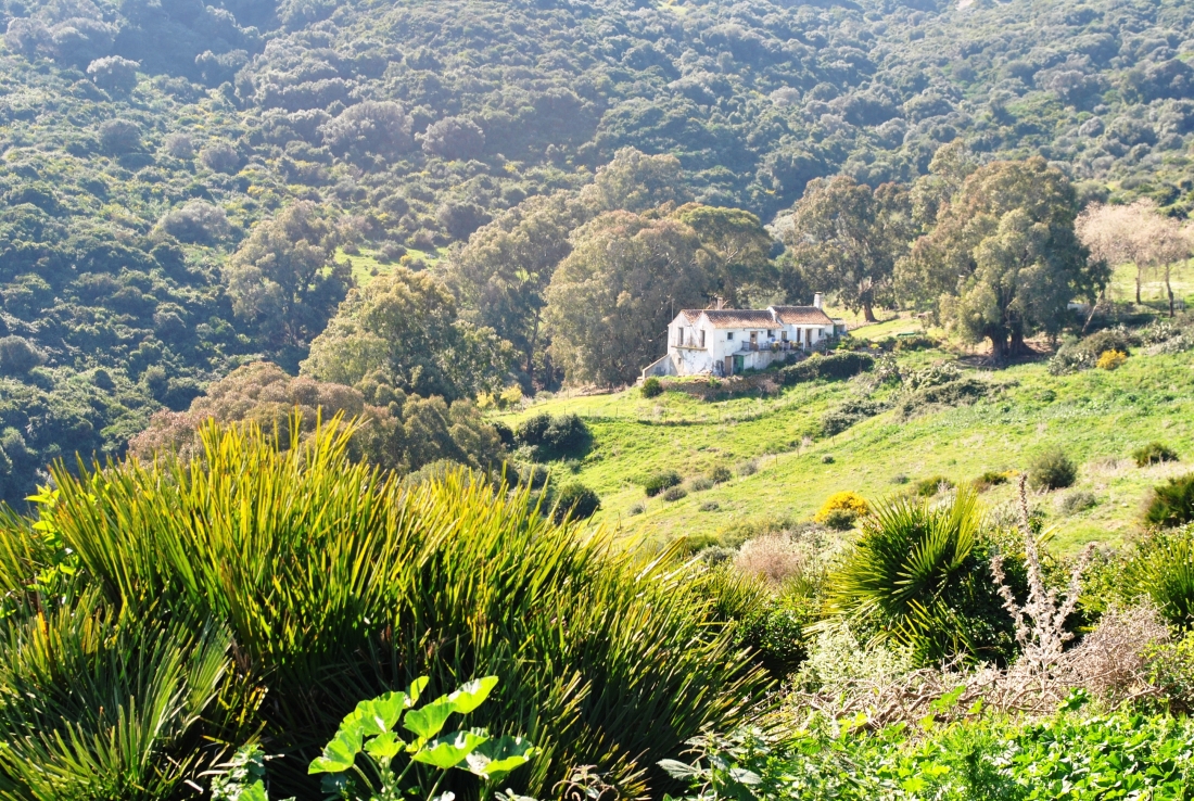 24.Cortijo de Tapera.