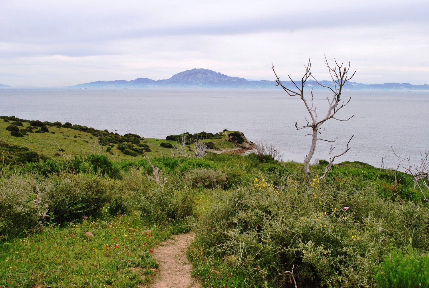 Portada Castillo del Tolmo Portada Castillo del Tolmo