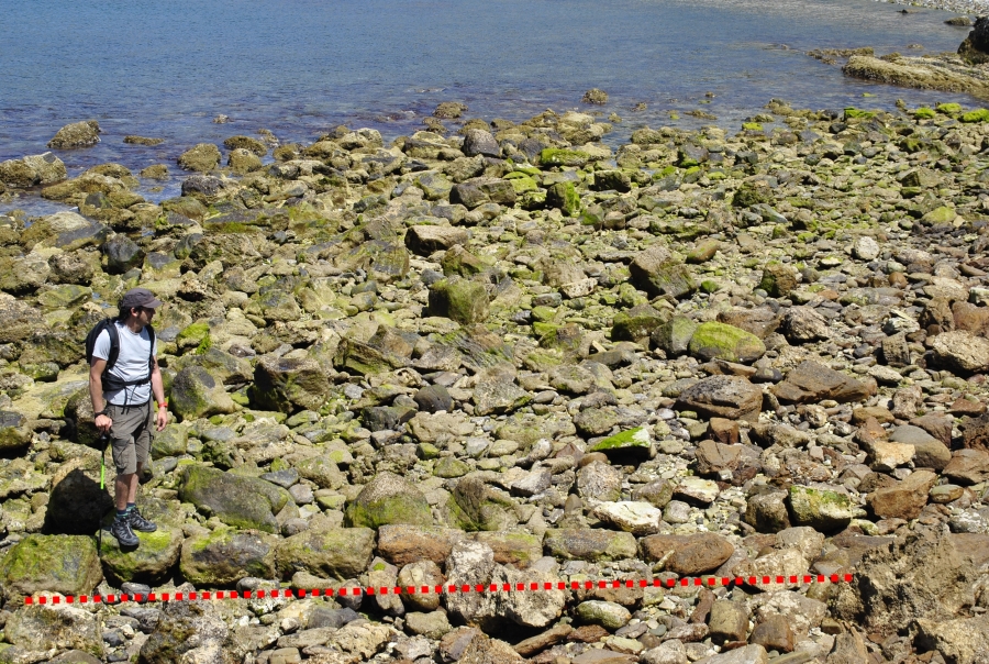 Cimientos del embarcadero Cimientos del embarcadero