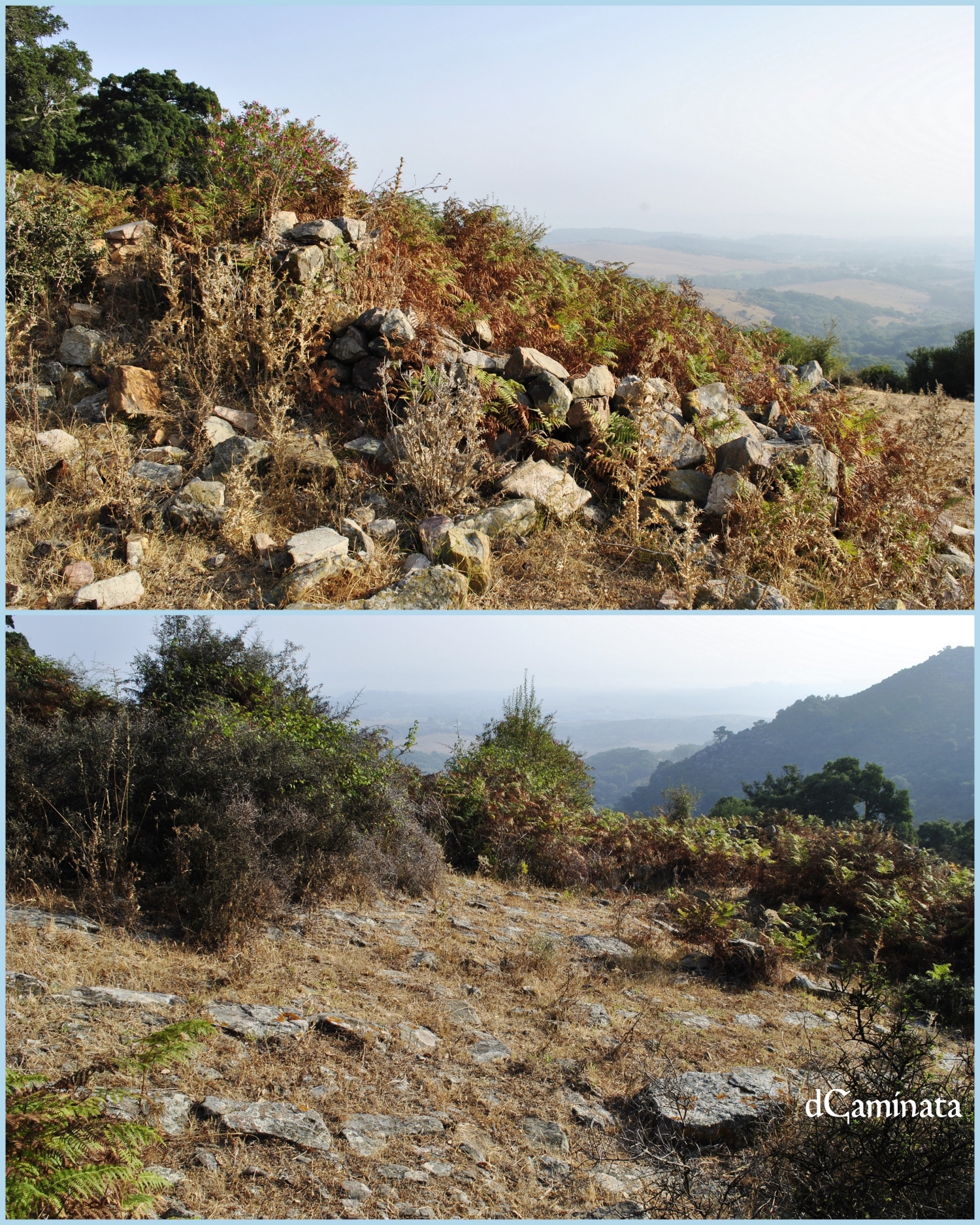 12. Cabaña y solería