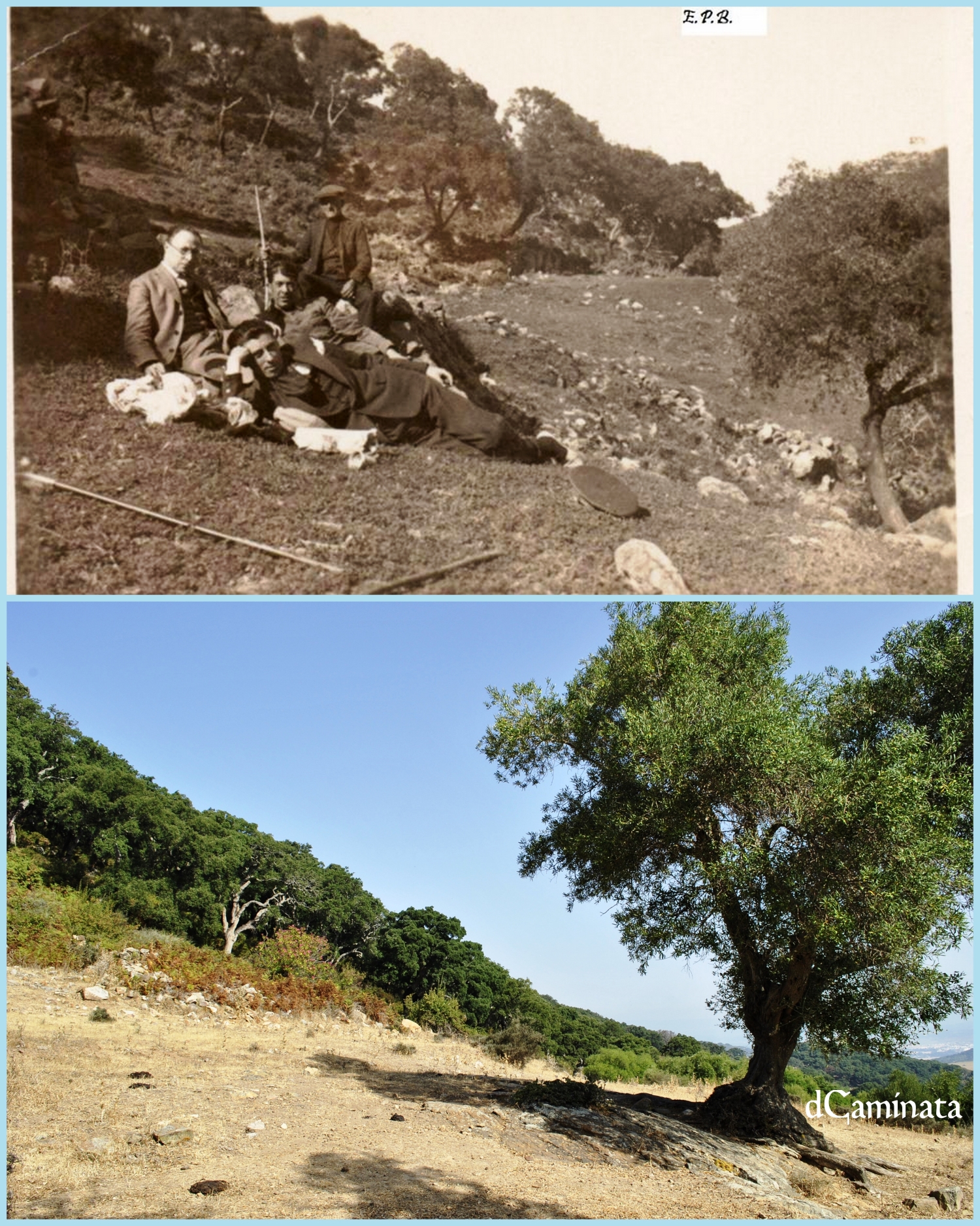 13.1 Comparativa Explanadilla