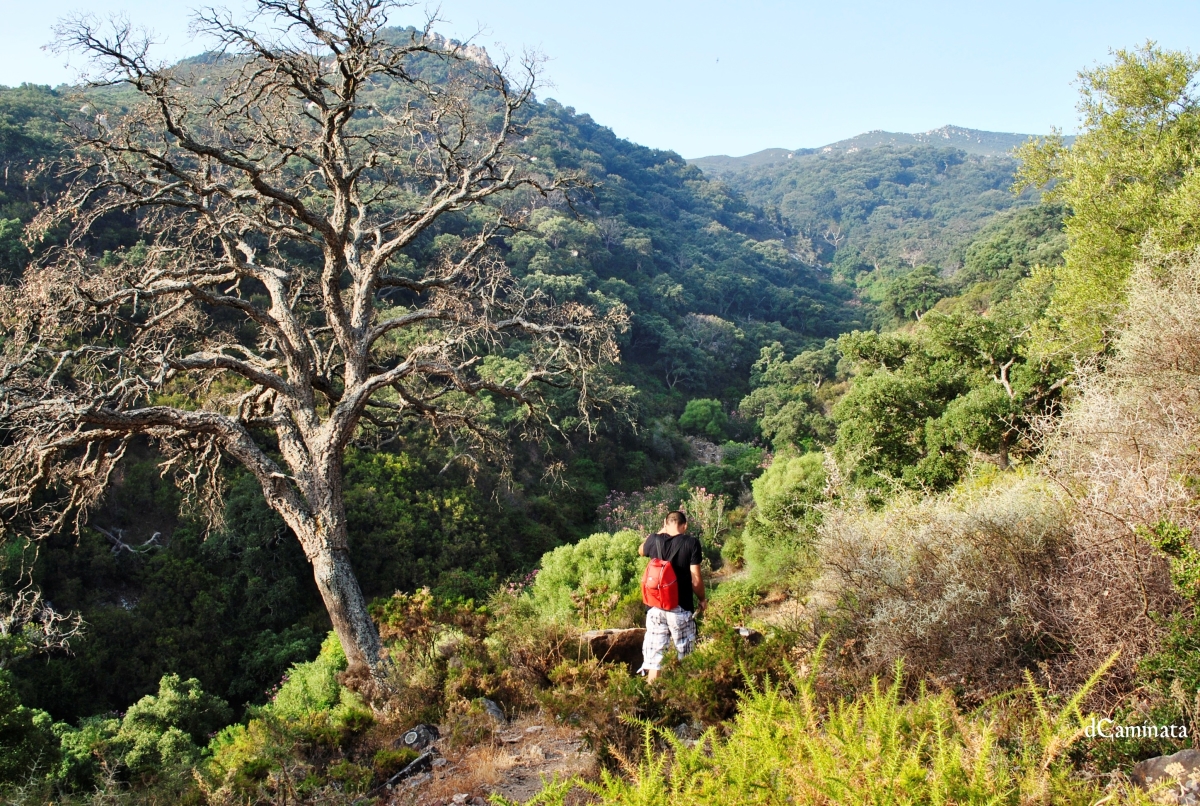 15. Bajando a la garganta