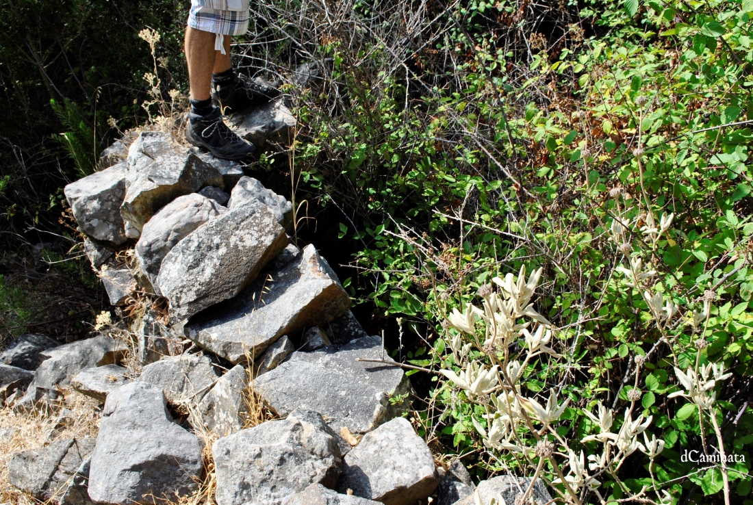 25. Muro de vivienda