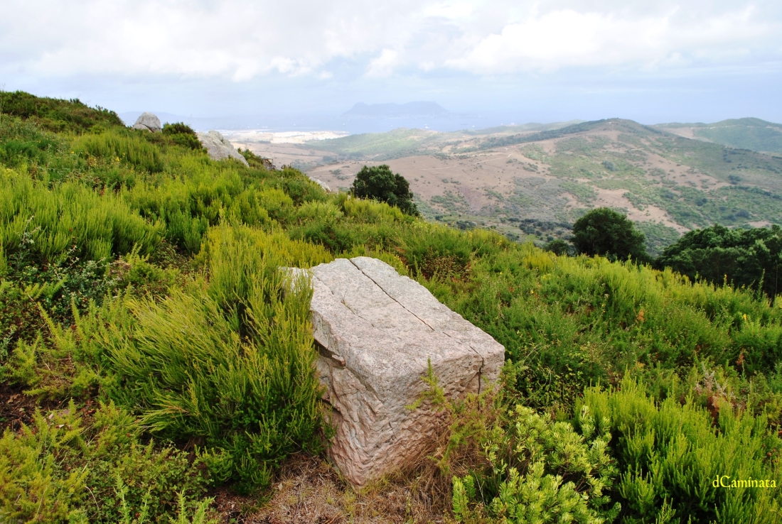 11. Sillar y Bahía.