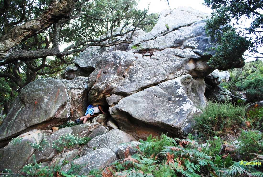 28. Seguimos buscando.