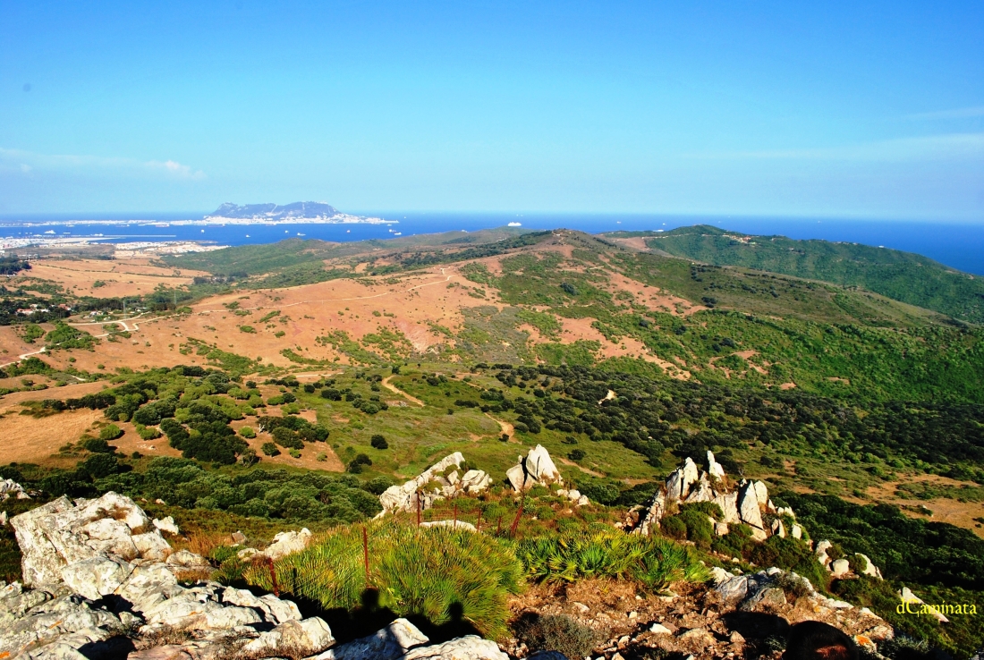 8. Montes de Getares.