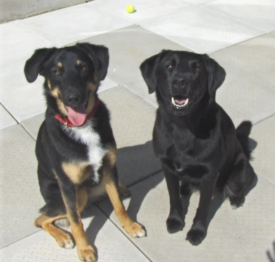 girlssmiling girlssmiling