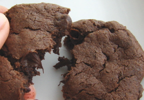 mintchocchip2 mintchocchip2