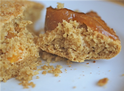 apricotspread6 apricotspread6