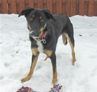 chasersnowface chasersnowface