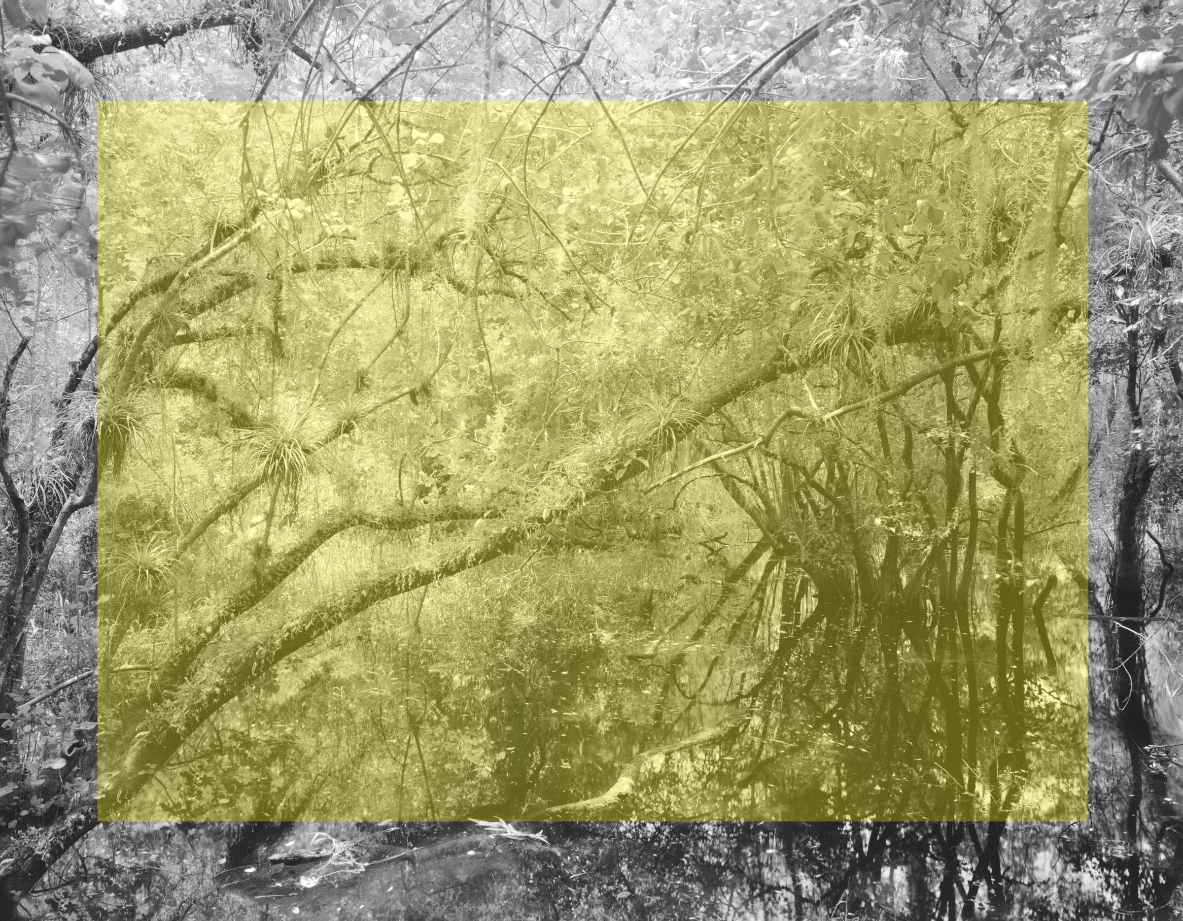 What Photography has in Common with an Empty Vase @ Paris Photo 2018