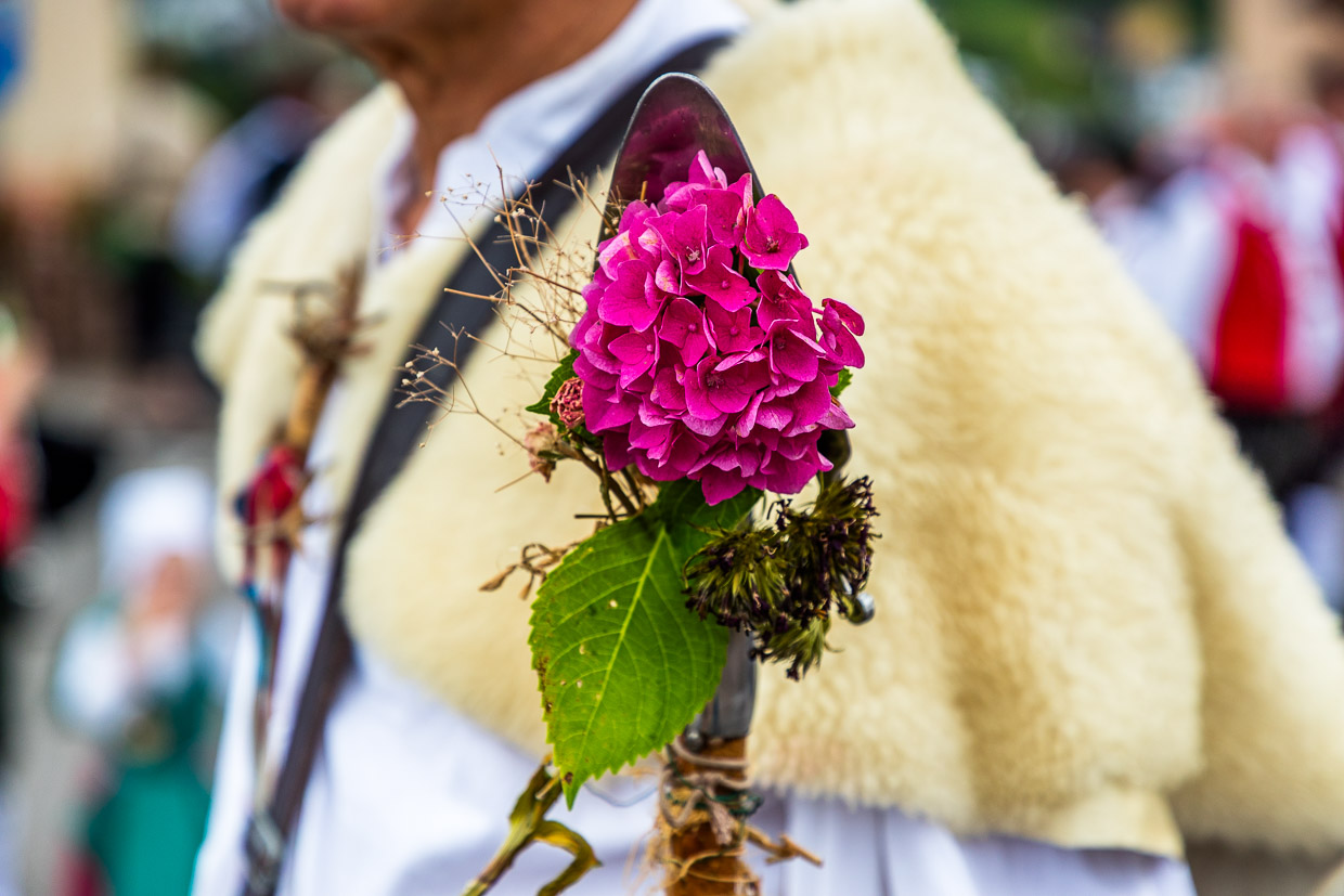 Pala de pastor decorada con flores en el desfile de Wildberg. La pequeña pala situada en el extremo inferior del cayado cumple varias funciones prácticas en la vida cotidiana de un pastor, como guiar al rebaño, arrojar terrones de tierra, hacer señales a los perros pastores, tomar muestras de estiércol, arrancar plantas, cortar plantas venenosas o molestas. La pala de pastor es también un símbolo de la profesión de pastor y a menudo se utiliza como escudo de armas / © Foto: Georg Berg