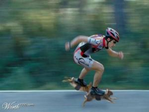 squirrel-skates-could-this-be-the-newest-craze