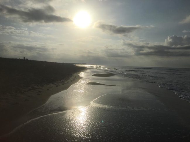 Foto Blog del 17.11.20