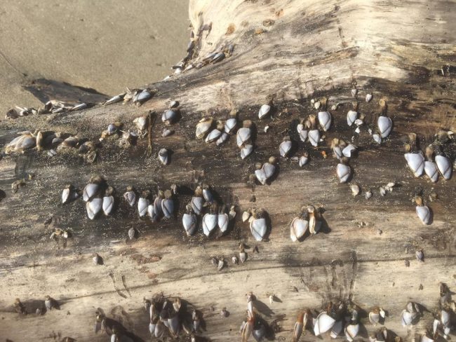 Foto Blog del 14.06.21