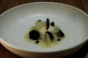 noma - Jordskokke; Æble og malt 2