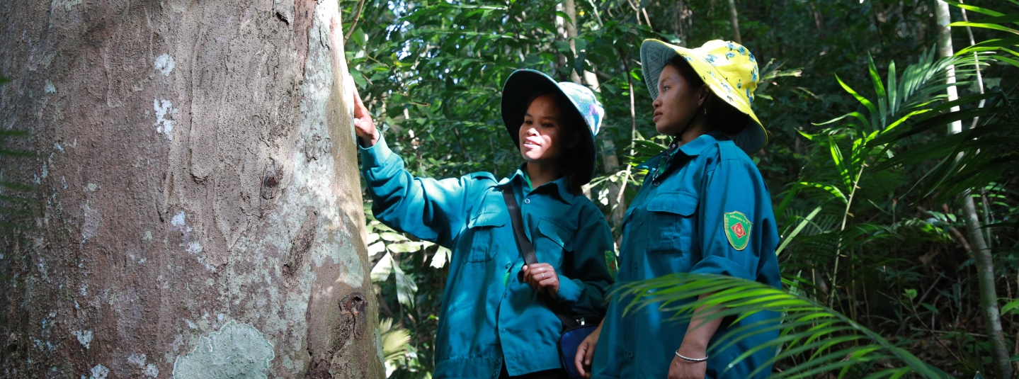 Vietnam_community forests