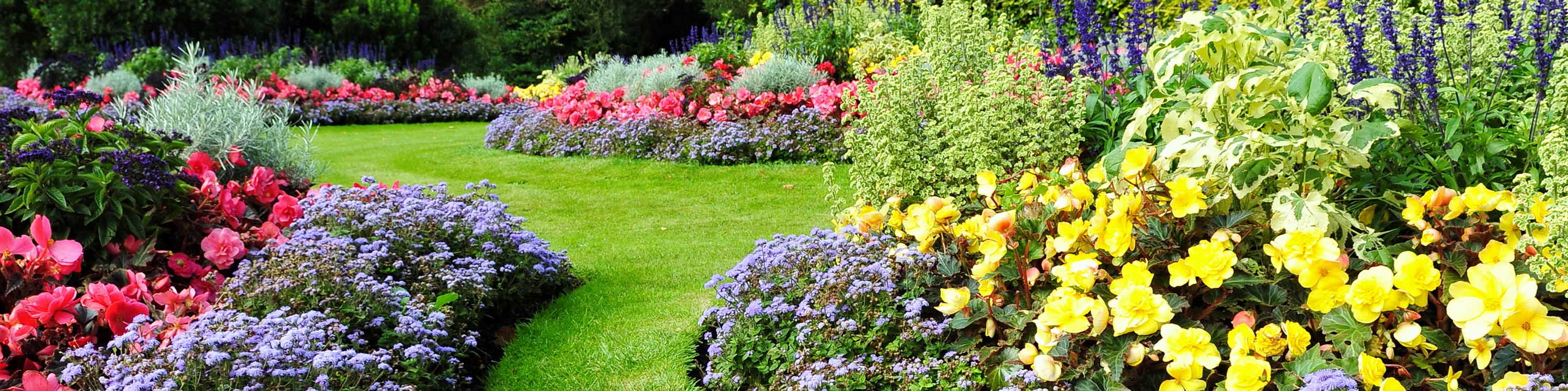 A grassy path snakes between colorful flower beds.