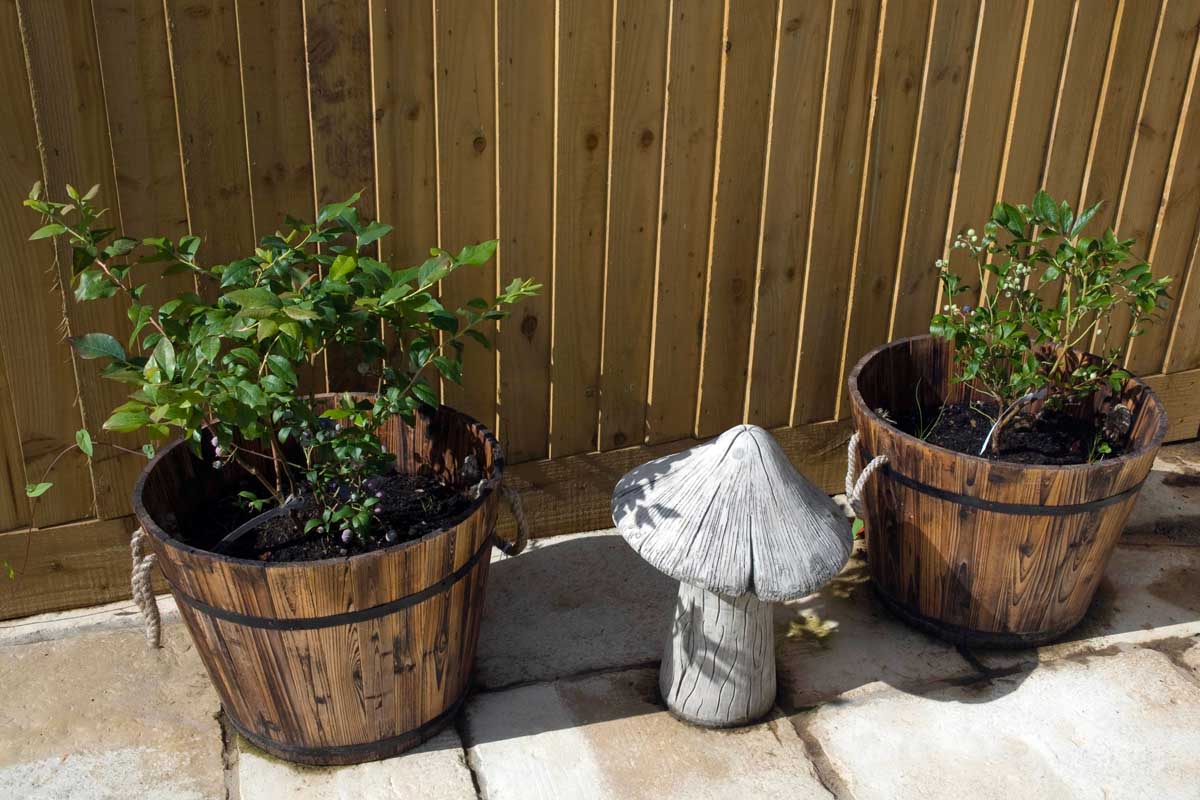 A close up horizontal image of two wooden planters and an ornamental toadstool on a patio with a wooden fence in the background.