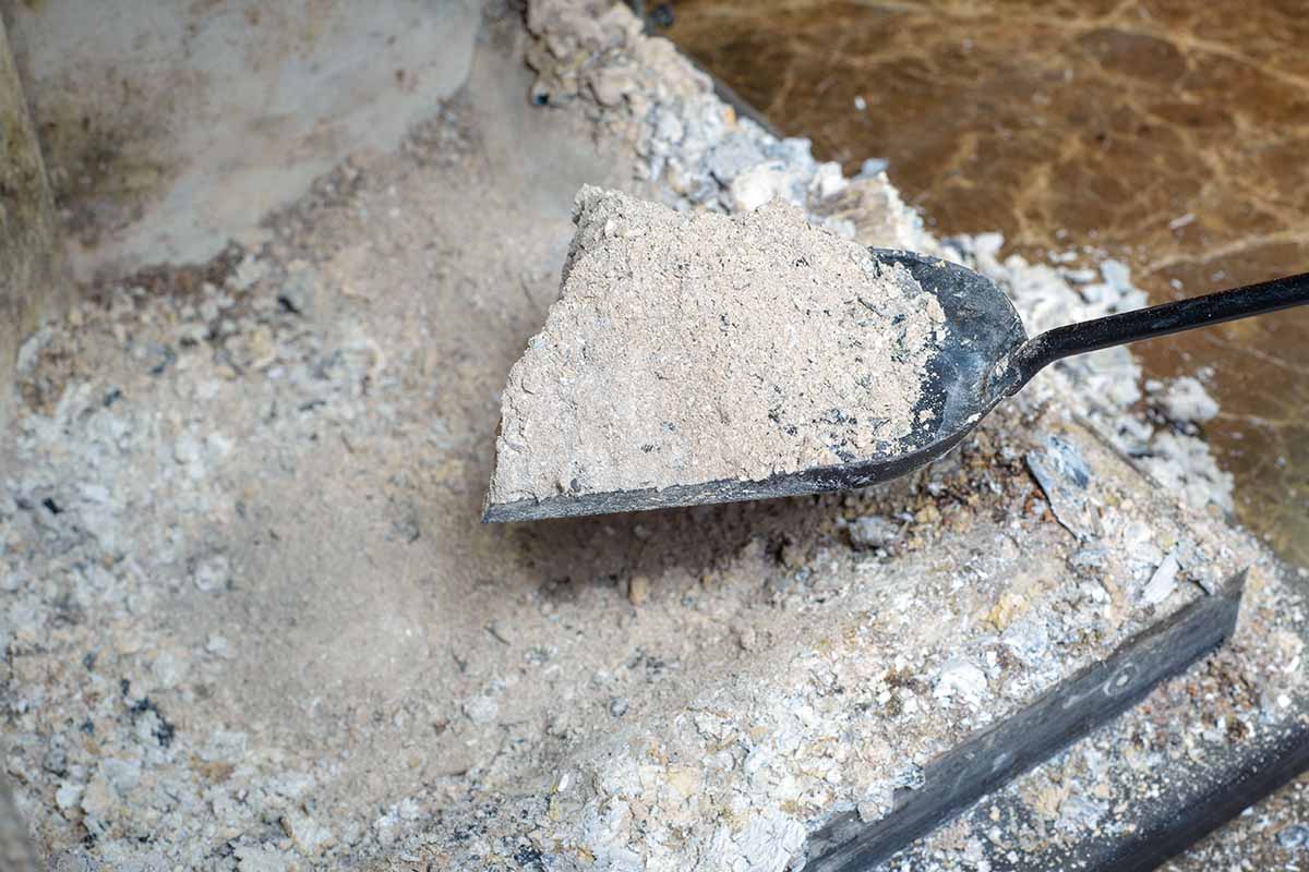 A close up horizontal image of a spade being used to clean out a fireplace scooping up the wood ash to put on the compost pile.