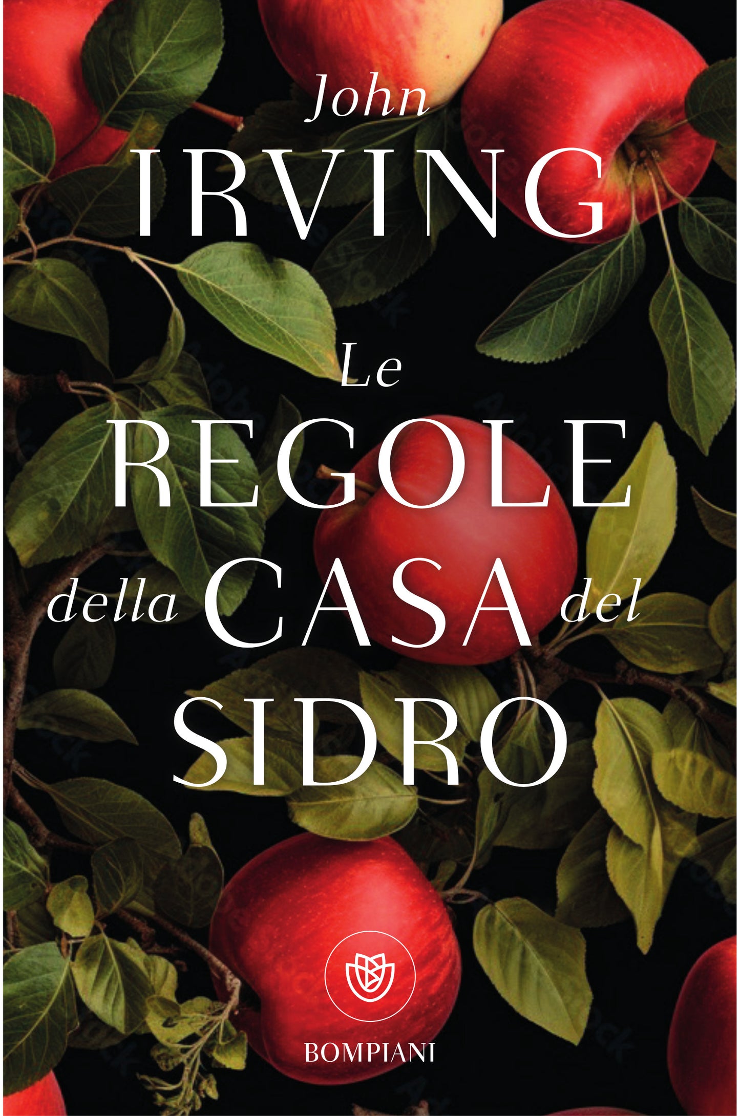 Le regole della casa del sidro