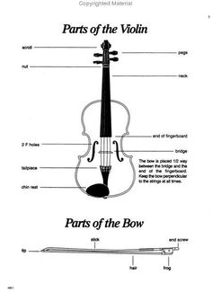 parts of the violin labeled in text