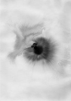 a black and white photo of a flower in the middle of it's petals