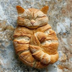a croissant shaped like a cat laying on top of it's back