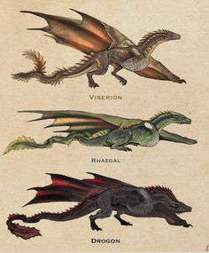 three different types of dragon are shown in this illustration