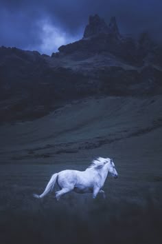 a white horse is running through the grass in front of a mountain range at night