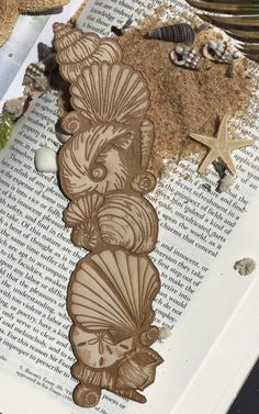 an open book with shells and starfish on it
