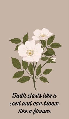 some white flowers on a brown background with the words faith starts like a seed and can bloom like a flower