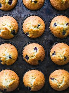 freshly baked blueberry muffins in a baking tray ready to be eaten and served