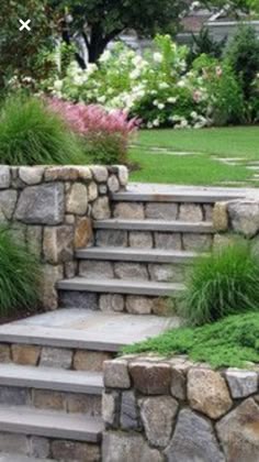 stone steps lead up to a lush green garden