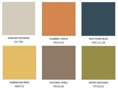 the different colors of paint for walls and ceiling in various shades, including brown, green,