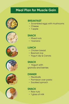 A Meal Plan for Muscle Gain and Foods to Avoid build your muscles with our fantastic meal plan Food Plans To Gain Muscle, Meal Plan For Muscle Gain, Diet Plan For Muscle Gain, Gaining Muscle Meal Plan, Gain Mass Meal Plan, Meal Plan To Gain Weight And Muscle, Best Meal Plan For Muscle Gain, Daily Meal Plan For Muscle Gain, Meal Guide For Muscle Gain
