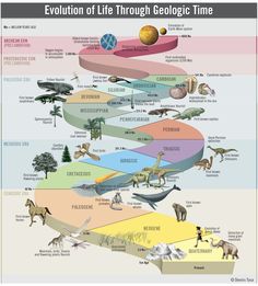 an image of the evolution of life through geolophic time, including dinosaurs and other animals